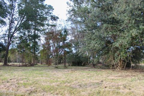 Misty Lane, Lucedale, MS 39452 photo 5