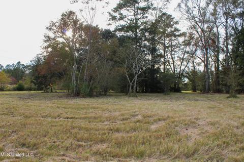 Misty Lane, Lucedale, MS 39452 photo 4