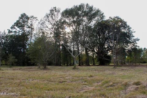 Misty Lane, Lucedale, MS 39452 photo 3