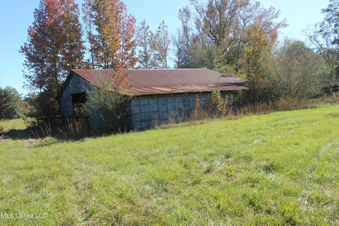 7371 Old Hillsboro Rd, Forest, MS 39074 photo 41