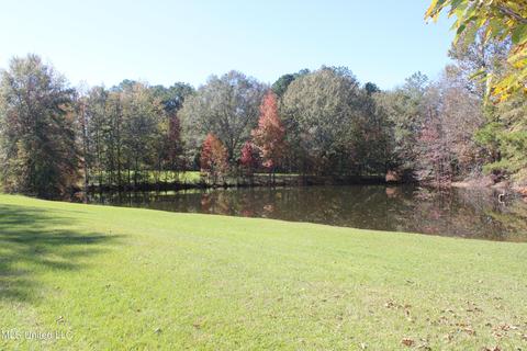 7371 Old Hillsboro Rd, Forest, MS 39074 photo 8
