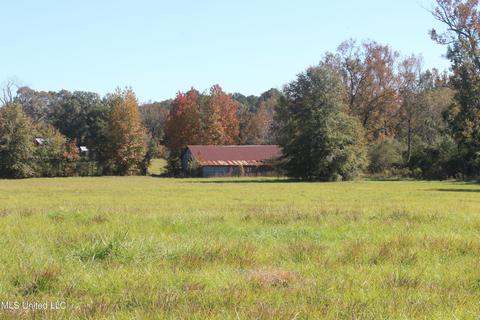 7371 Old Hillsboro Rd, Forest, MS 39074 photo 38