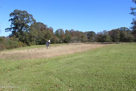 7371 Old Hillsboro Rd, Forest, MS 39074 photo 10