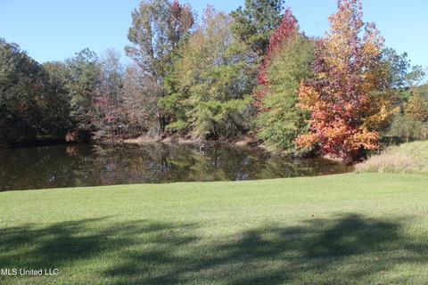 7371 Old Hillsboro Rd, Forest, MS 39074 photo 7