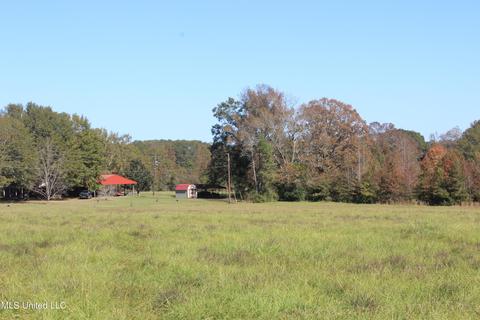 7371 Old Hillsboro Rd, Forest, MS 39074 photo 37