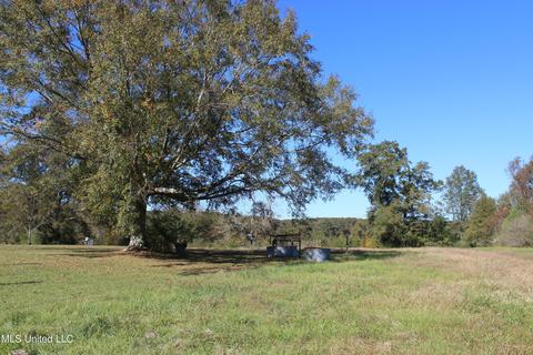 7371 Old Hillsboro Rd, Forest, MS 39074 photo 14