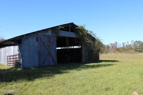 7371 Old Hillsboro Rd, Forest, MS 39074 photo 50