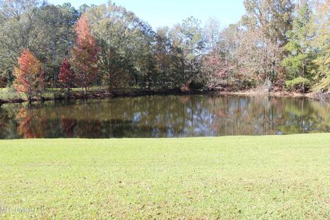 7371 Old Hillsboro Rd, Forest, MS 39074 photo 4
