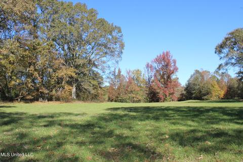 7371 Old Hillsboro Rd, Forest, MS 39074 photo 55