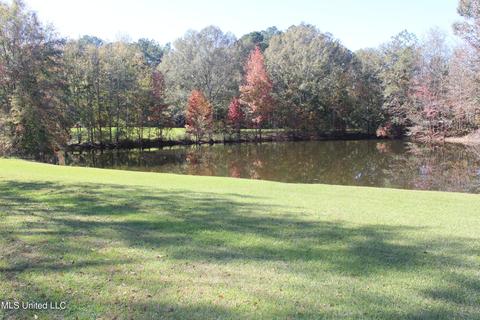 7371 Old Hillsboro Rd, Forest, MS 39074 photo 6