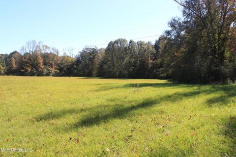 7371 Old Hillsboro Rd, Forest, MS 39074 photo 45