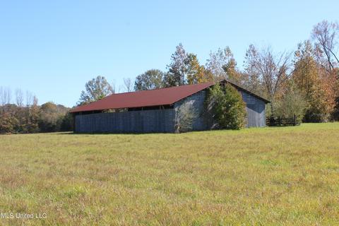 7371 Old Hillsboro Rd, Forest, MS 39074 photo 53