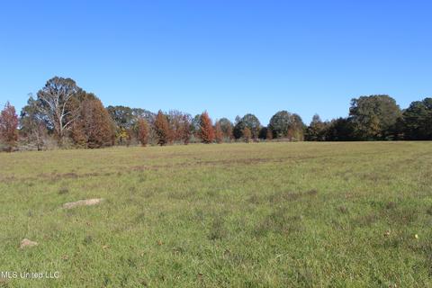 7371 Old Hillsboro Rd, Forest, MS 39074 photo 49