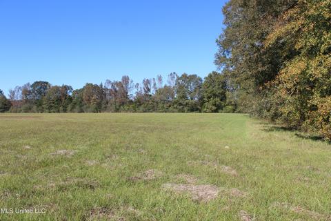 7371 Old Hillsboro Rd, Forest, MS 39074 photo 57