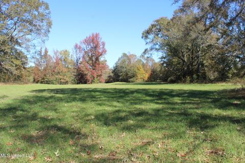 7371 Old Hillsboro Rd, Forest, MS 39074 photo 54