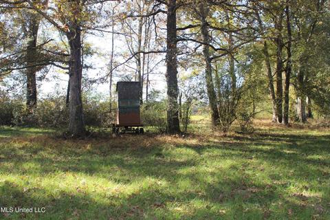 7371 Old Hillsboro Rd, Forest, MS 39074 photo 56