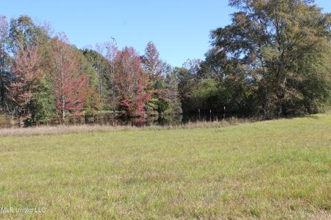 7371 Old Hillsboro Rd, Forest, MS 39074 photo 48