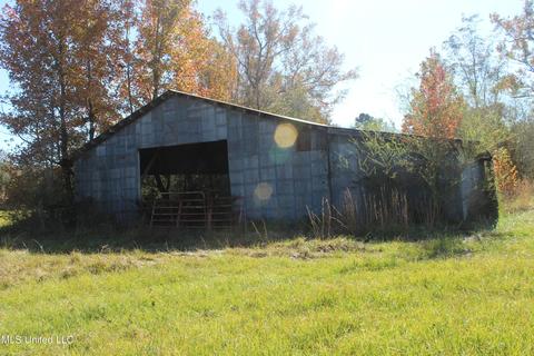 7371 Old Hillsboro Rd, Forest, MS 39074 photo 40