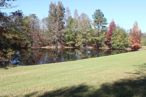 7371 Old Hillsboro Rd, Forest, MS 39074 photo 5