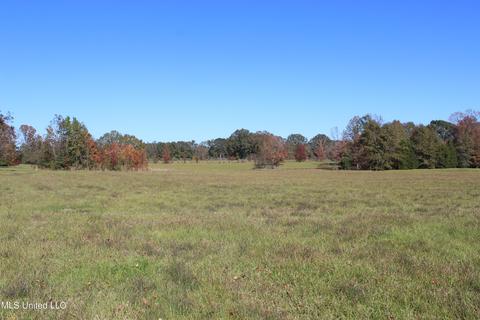 7371 Old Hillsboro Rd, Forest, MS 39074 photo 46