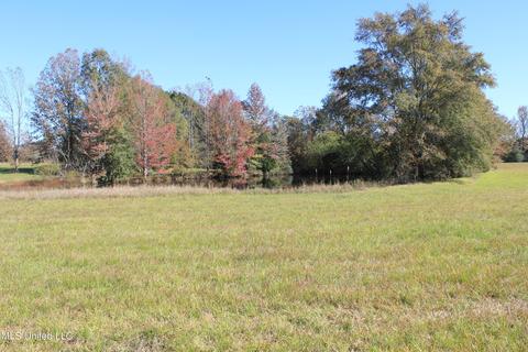 7371 Old Hillsboro Rd, Forest, MS 39074 photo 47