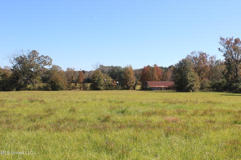 7371 Old Hillsboro Rd, Forest, MS 39074 photo 39