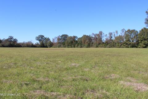 7371 Old Hillsboro Rd, Forest, MS 39074 photo 58