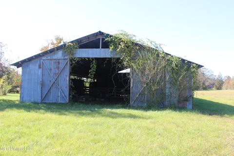 7371 Old Hillsboro Rd, Forest, MS 39074 photo 51