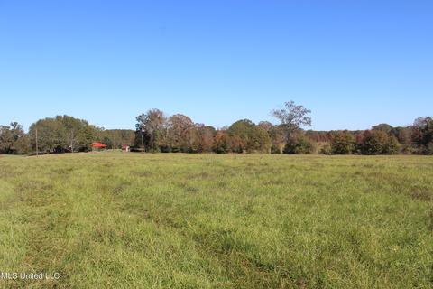 7371 Old Hillsboro Rd, Forest, MS 39074 photo 36