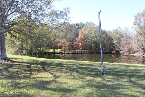 7371 Old Hillsboro Rd, Forest, MS 39074 photo 9