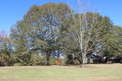 7371 Old Hillsboro Rd, Forest, MS 39074 photo 33