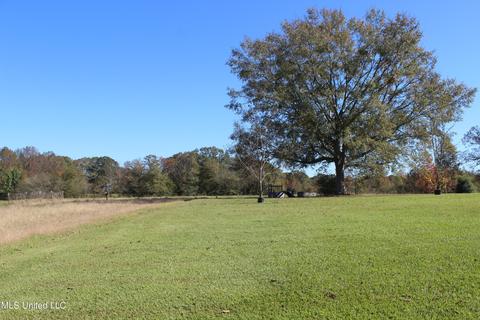 7371 Old Hillsboro Rd, Forest, MS 39074 photo 32