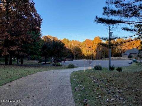1439 Crockett Cv, Hernando, MS 38632 photo 44