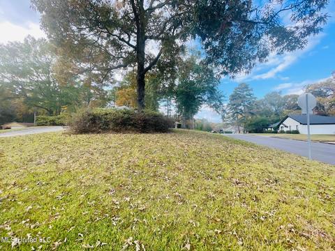 103 Summit Ridge Dr, Brandon, MS 39042 photo 4