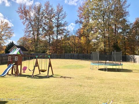2223 Great Barrington Pl, Nesbit, MS 38651 photo 23