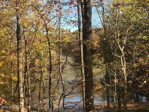 11186 Mingo Dr, Hernando, MS 38632 photo 7