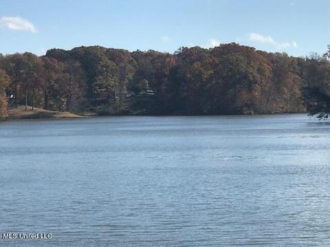 11186 Mingo Dr, Hernando, MS 38632 photo 6