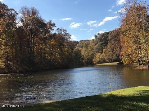 11186 Mingo Dr, Hernando, MS 38632 photo 5