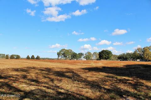 2192 Cooks Corner Rd, Lucedale, MS 39452 photo 44