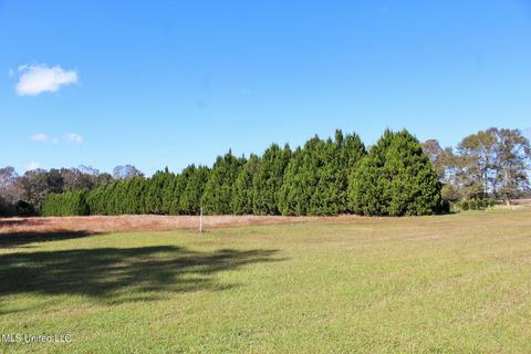 2192 Cooks Corner Rd, Lucedale, MS 39452 photo 39