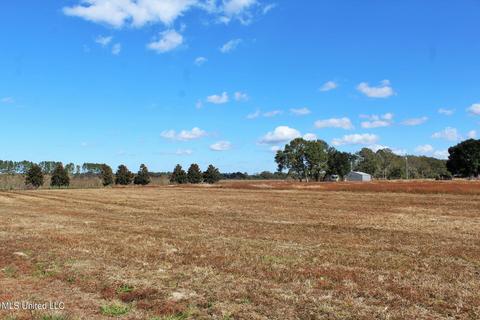 2192 Cooks Corner Rd, Lucedale, MS 39452 photo 45