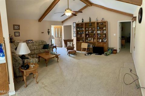 492 Riceville Rd, Mchenry, MS 39561 photo 20
