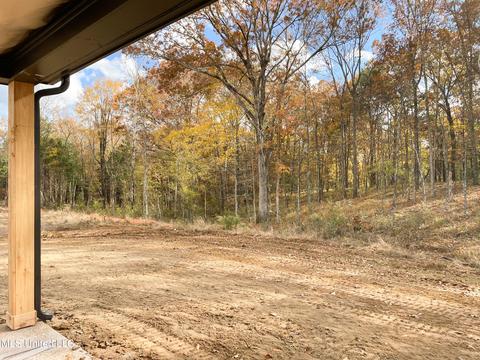 14489 Hidden Loop, Byhalia, MS 38611 photo 11