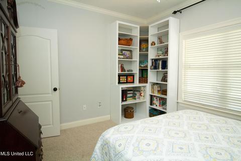 108 Wendy Ln, Madison, MS 39110 photo 28