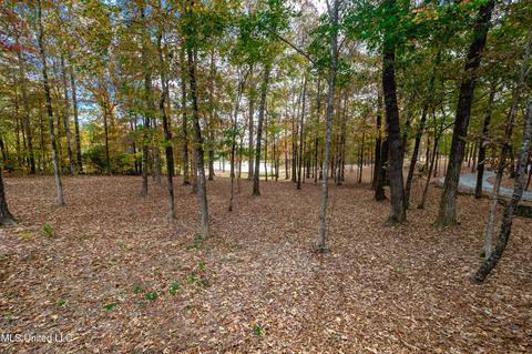 119 Garrison Way, Flowood, MS 39232 photo 55