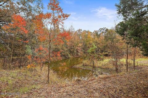 1933 Wright Rd, Raymond, MS 39154 photo 53