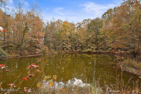 1933 Wright Rd, Raymond, MS 39154 photo 54