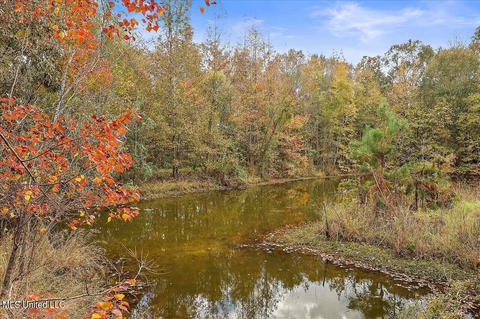 1933 Wright Rd, Raymond, MS 39154 photo 55