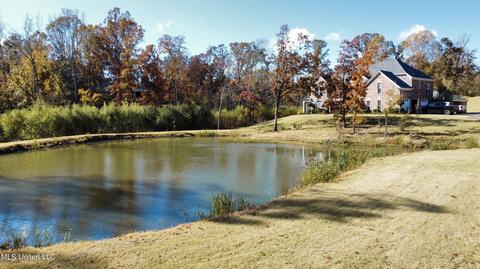 2377 Ross Rd, Olive Branch, MS 38654 photo 54