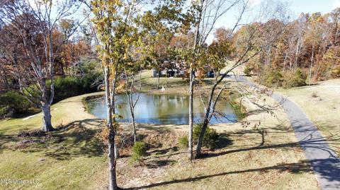 2377 Ross Rd, Olive Branch, MS 38654 photo 53